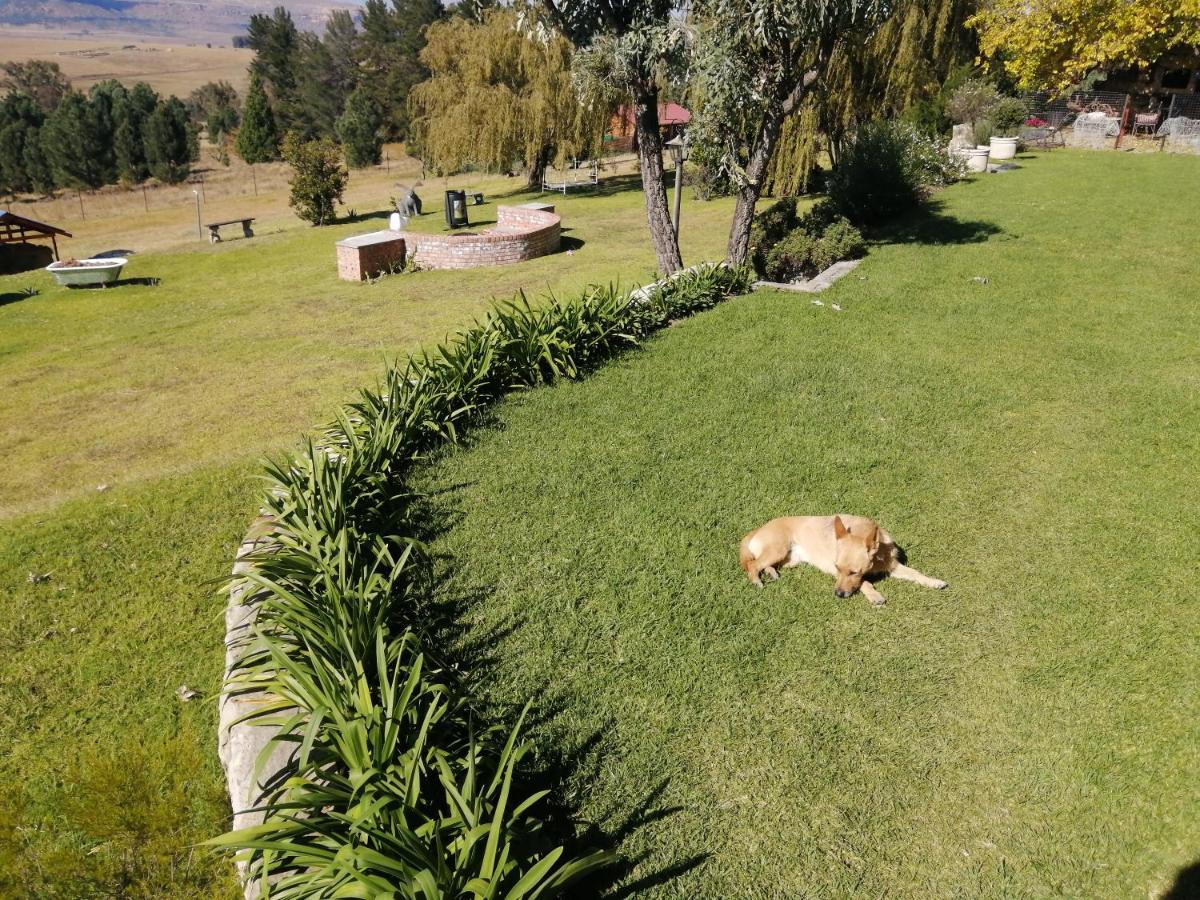 The Fat Mulberry Guest Farm Hotel Fouriesburg Exterior photo